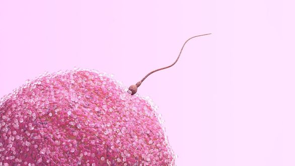 Does pineapple change how your sperm tastes_ How does sperm count change by age_ Here’s 12 facts about sperm that you need to know_