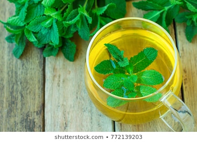 634FD6AF-7BC2-45FE-A2DF-D169D404C688