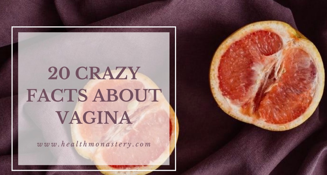 Interesting facts about vagina